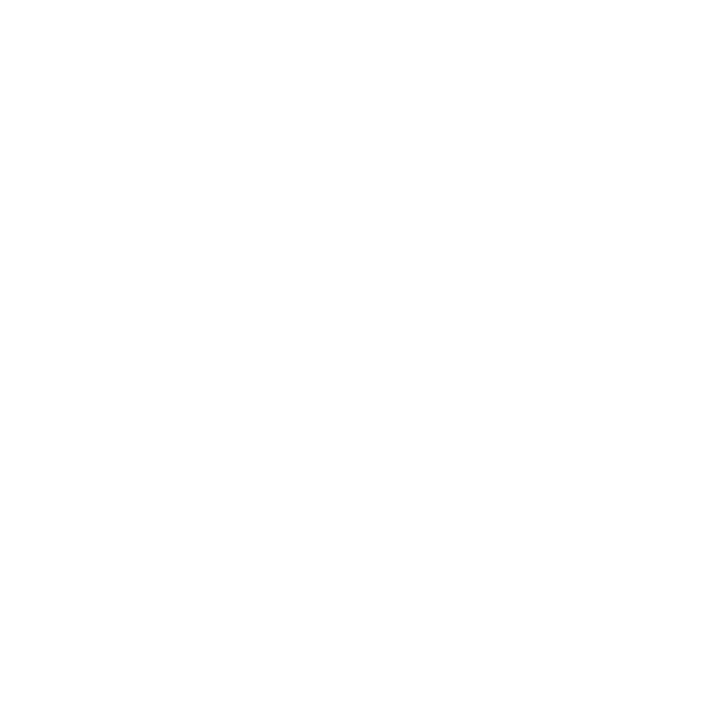 DataFlow Solutions